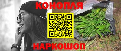 прущие грибы Азнакаево