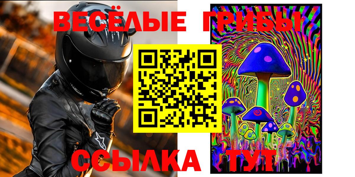 Галлюциногенные грибы Psilocybe  Альметьевск 