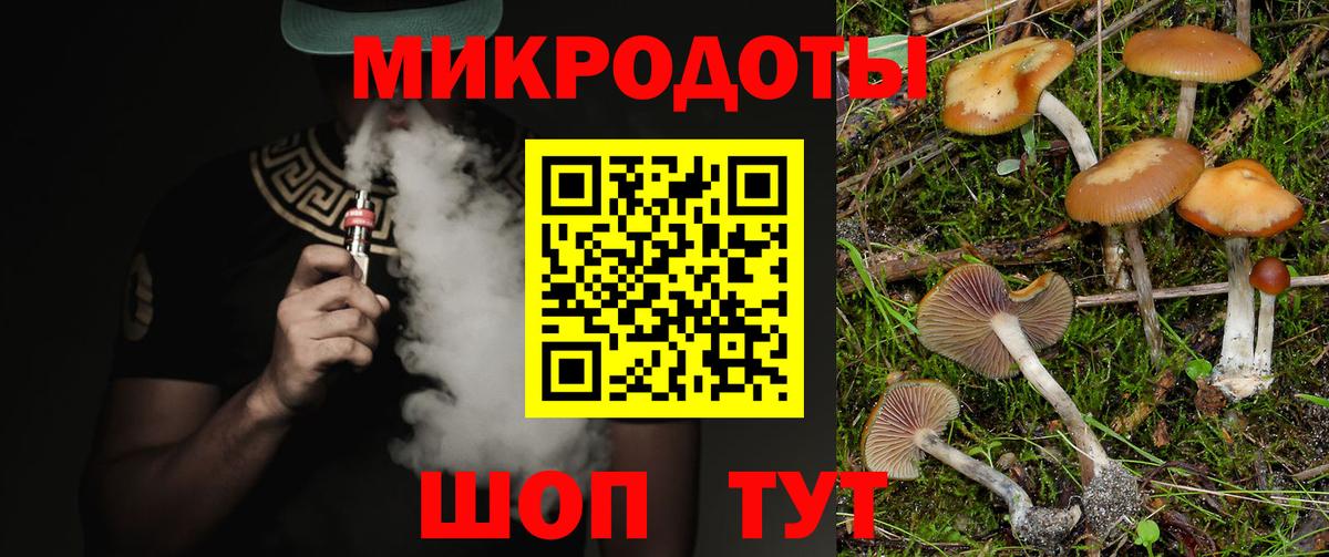 Альметьевск  Галлюциногенные грибы MAGIC MUSHROOMS  Вход с VPN 